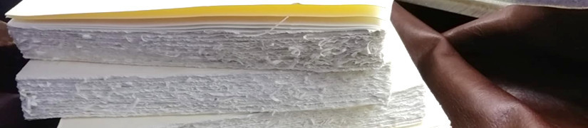 Libri firma in mezza pelle con pagine in carta vergata tagliata a mano